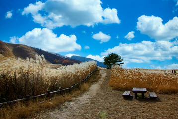 奈良県　曽爾高原	