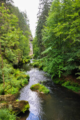Blick auf einen kleinen Fluß im Elbsandsteingebirge, dieser führt durch Berge und Wald