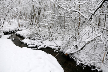 Stream in winter forest, snow covered fallen trees, picturesque view. Nature after snowfall, cold weather