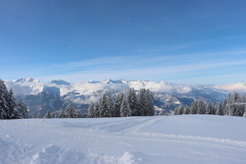 Winter hike in Grüsch / Danusa