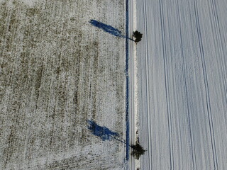 Aerial view of a snowy alley. Aerial view of a path leading through snow covered farmland.