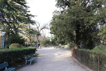 Le jardin le rocher des Doms, ville de Avignon, département du Vaucluse, France