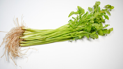 新鮮なせりのイメージ