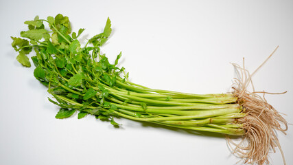 新鮮なせりのイメージ
