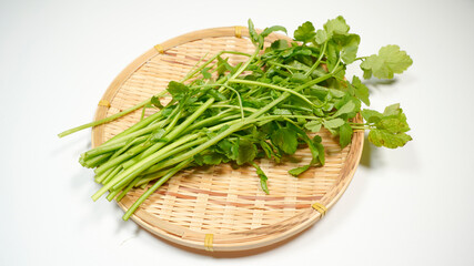 ザルにのっている新鮮なせりのイメージ