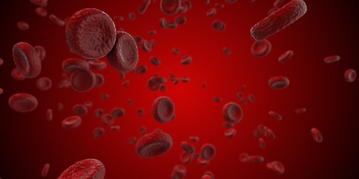 3D Rendering Red Blood Cells Stock Image 