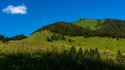 view of Osnica hill, Slovakia, Mala Fatra