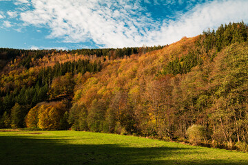 Eifelherbst