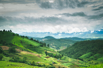 nuture in thailand