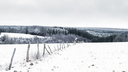 Eifel Winter
