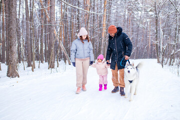 Fototapeta na wymiar mixed race girl with her lovely siberian pet joy winter weather