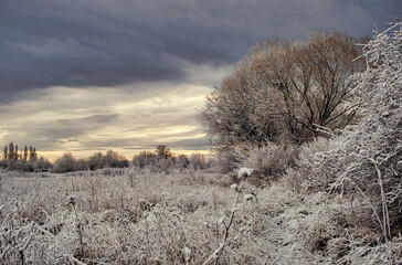 Eindrucksvolle Winterlandschaft mit Feld und Büschen kurz nach Sonnenaufgang