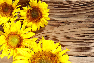 sunflowers on an old wooden background with copy space