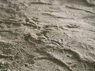 Bird footprints on the sand