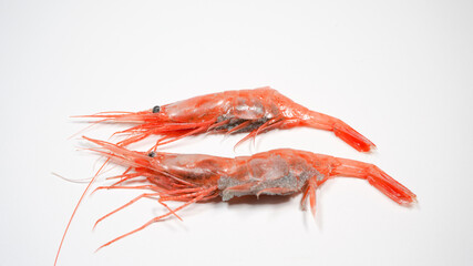 新鮮な南蛮エビ
