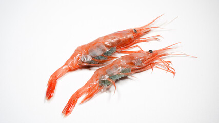 新鮮な南蛮エビ