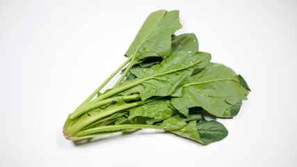 新鮮なほうれん草