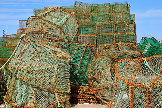 Catch baskets for lobster and prawns