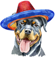 Watercolor portrait of rottweiler in mexican hat