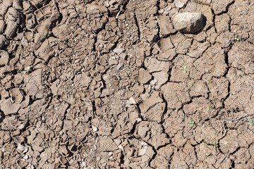 trockene Erde