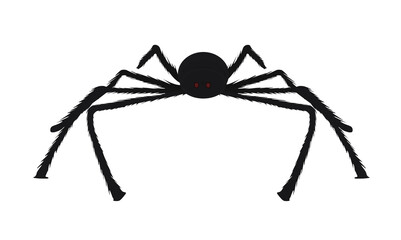 Obraz premium Black spider isolated. vector illustration