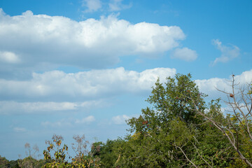 Blue sky with clouds floating in the sky during the day.