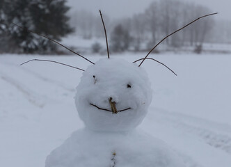 Portrait von einem Schneemann mit Haar aus Reisig. 