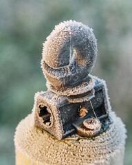 frost on country side