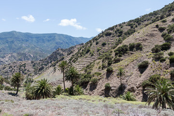 Wandern auf La Gomera