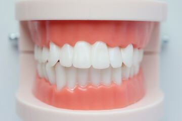 Dental model of human teeth. Medical banner. White smile, whitening. Brushing your teeth. Treatment of dental caries. Care for the oral cavity. A dental prosthesis. Implantation.