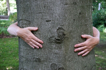H&auml;nde umarmen einen Baumstamm, Meditation und Waldbaden, Waldtherapie in der Natur nach Sebastian Kneipp, Wald - hug a tree, forest bathing