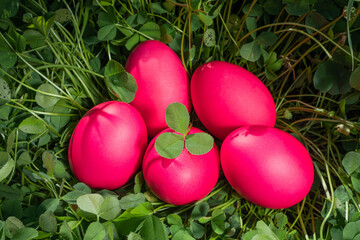 Bright cute Easter concept. Eggs painted magenta. Grass background, the spring sun is shining brightly.