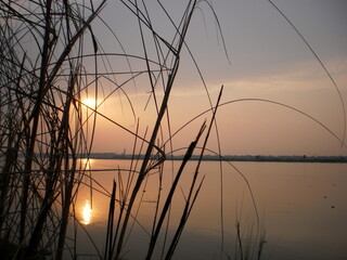 Fototapeta premium sunset on the river