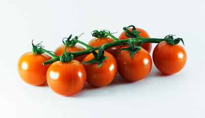 Fresh natural organic tomatoes on a branch on a white background. Cherry tomato variety.