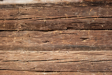 Fototapeta premium Holz