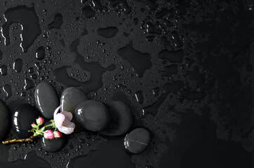 Spa stones and pink flowers on black background with water.