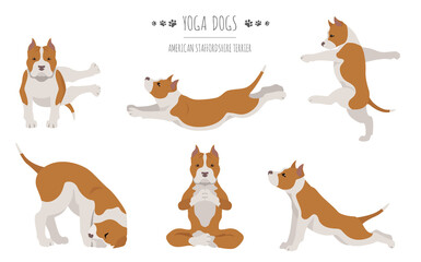 Yoga dogs poses and exercises poster design. American staffordshire terrier clipart