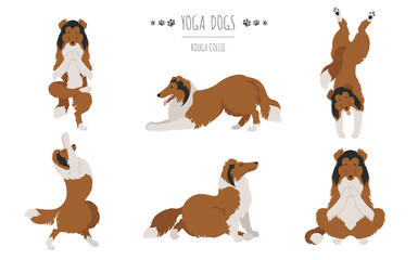 Yoga dogs poses and exercises. Rough collie clipart