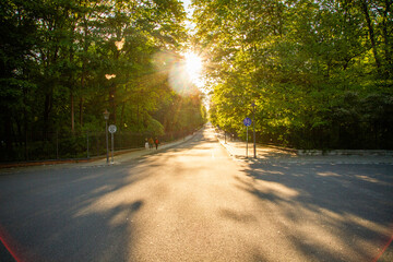 A road in the park for cyclists. Sun illumination..