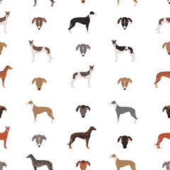English greyhound dogs in different poses. Greyhounds seamless pattern