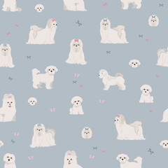 Maltese dogs in different poses seamless pattern - obrazy, fototapety, plakaty