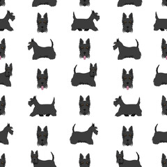 Scottish terrier dogs in different poses and coat colors. Adult and puppy scottie seamless pattern