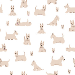 Scottish terrier dogs in different poses and coat colors. Adult and puppy scottie seamless pattern