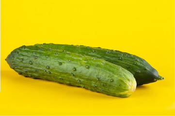 Two ripe fresh cucumbers