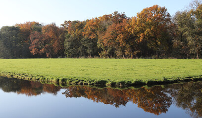 Autumn landscape with water in the foreground, a green pasture and trees in the back. The trees reflecting in the still water © Liesbeth