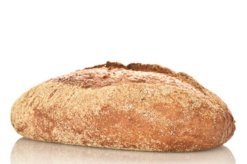 One loaf of aromatic buckwheat bread, close-up, isolated on white.