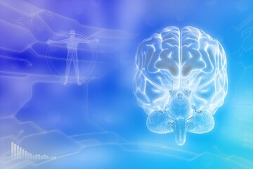 Human brain, wisdom development concept - detailed electronic background or texture, medical 3D illustration