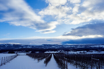 view of toten up to the totenåsen hills in winter