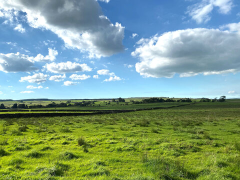 Grassland, stretching to the horizon in, Newton, Clitheroe, UK