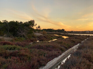 Sunset rural farm and salt lake meadow horizon view